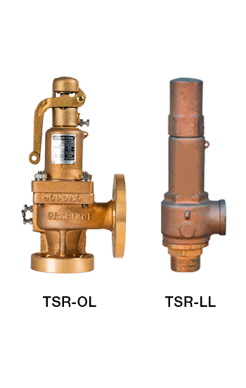 Safety Relief Valve image